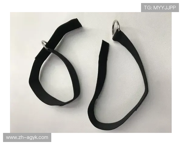 阳锐健身器材官网企业采购定制解决方案 阳锐健身器材官网企业采购定制解决方案