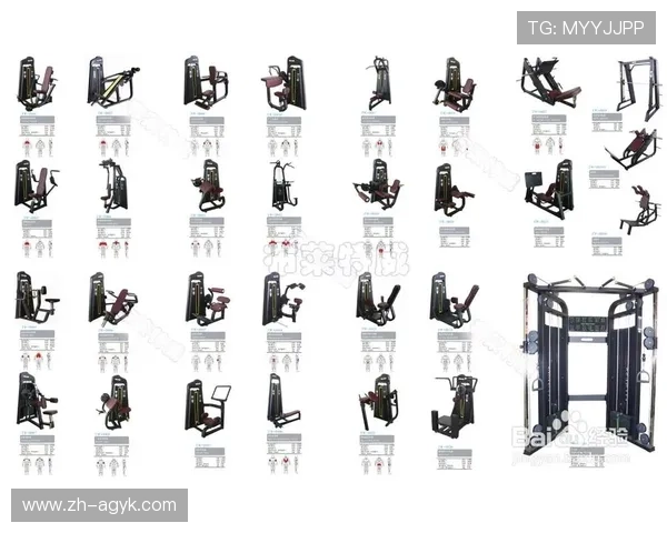 搏击专用健身器材大全及训练技巧分享 搏击专用健身器材大全及训练技巧分享