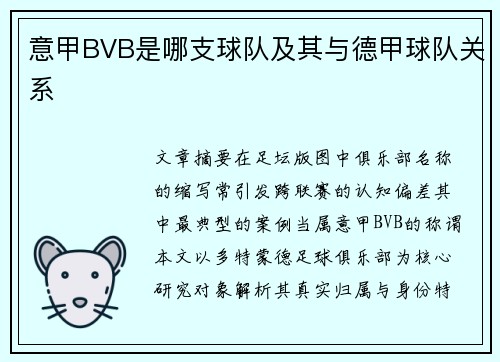 意甲BVB是哪支球队及其与德甲球队关系